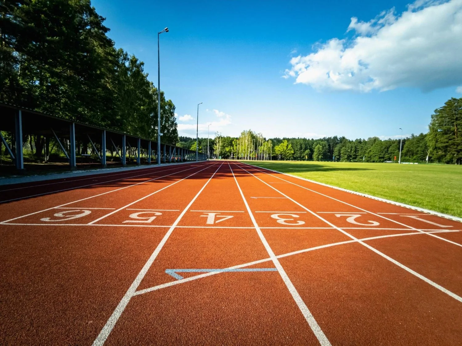 Sport trader: a nova profissão que une mercados, gestão de risco e decisões em alta incerteza