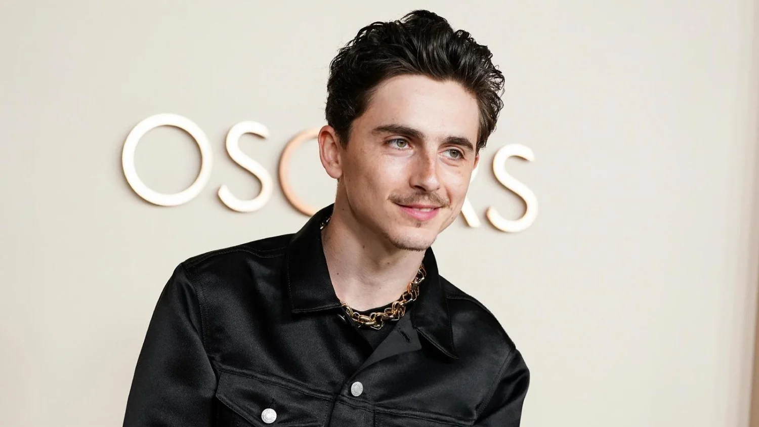 Timothée Chalamet em polêmica sobre ópera e balé: arte em debate entre crítica e convite