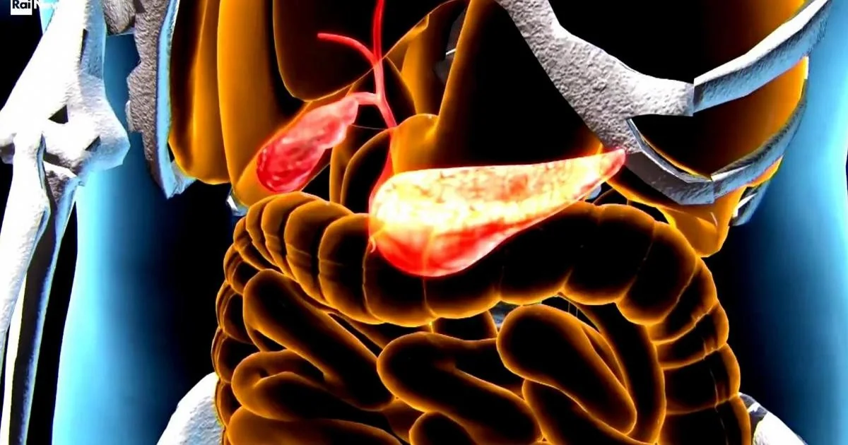Tumor do pâncreas: 13.585 novas diagnósticos em 2024 e a urgência do diagnóstico precoce