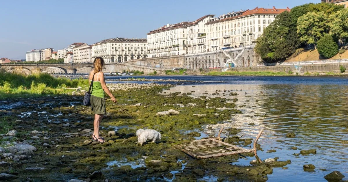 Relatório do WWF: Rio Po e outros rios italianos transportam toneladas de plástico rumo ao mar