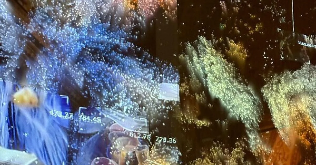 Anima Mundi em Milão: quando o espaço vira organismo sensível na Design Week 2026
