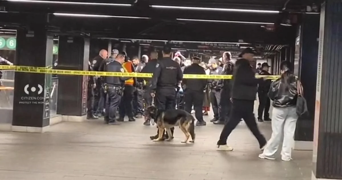Ataque na Grand Central Station: homem com machete deixa três feridos graves e é morto pela polícia em Nova York