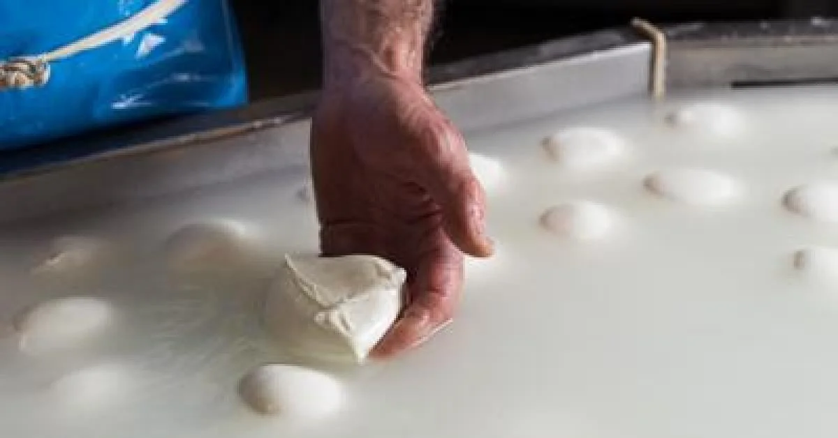 Crise no Irã eleva custos e ameaça exportação da mozzarella di bufala campana DOP