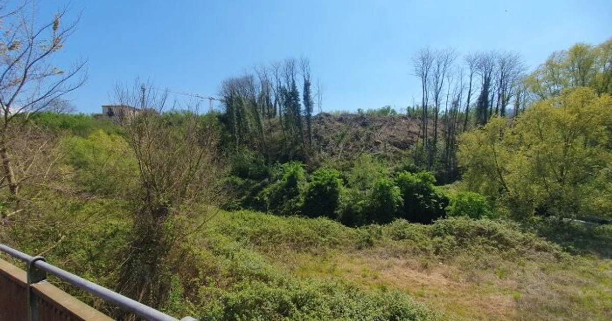 Avellino: desboscamento na margem do rio Fenestrelle elimina projeto de ‘parco verde’