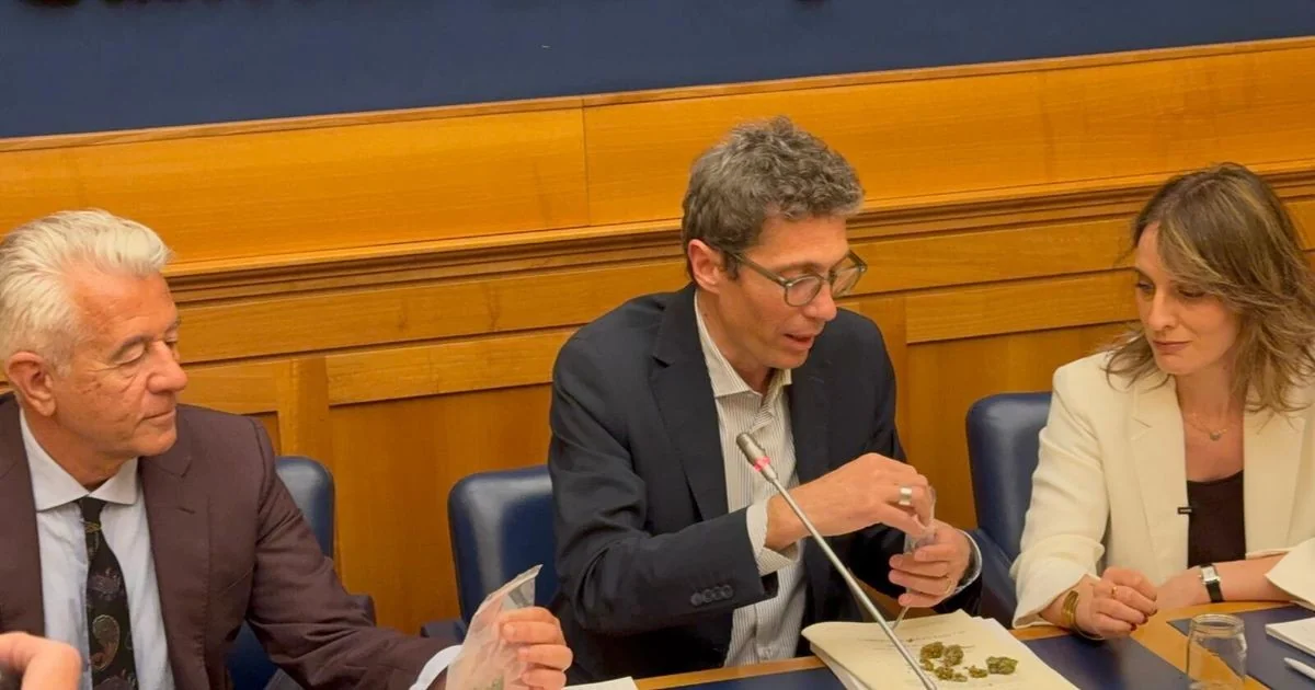 Cannabis em cena na Câmara: Magi traz jarro para denunciar alterações do decreto segurança