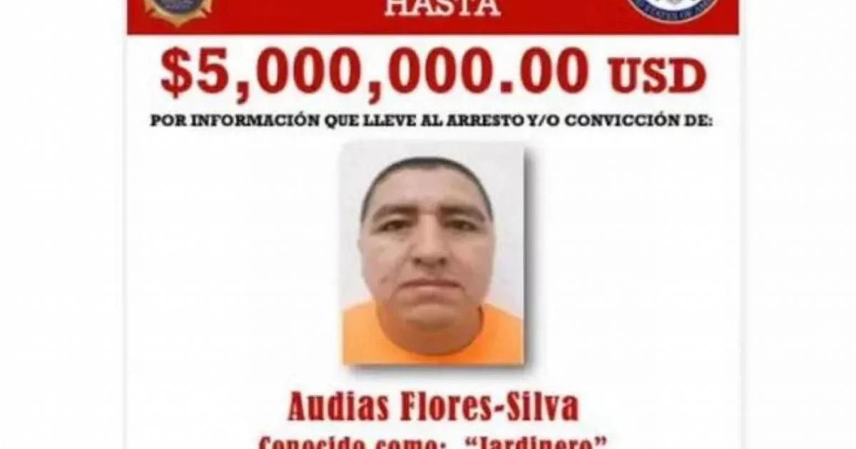Captura de 'El Jardinero': operação das forças mexicanas desestrutura a tessitura do Cartel Jalisco