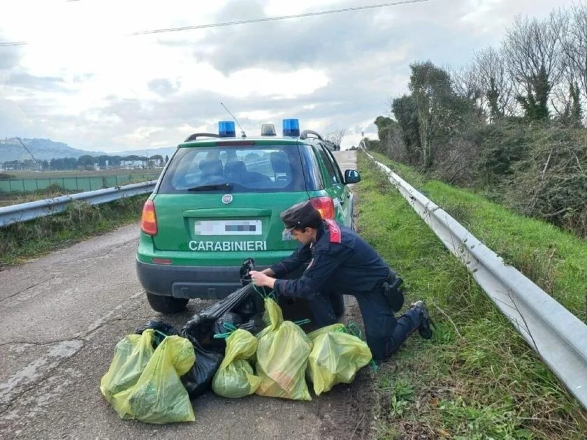 Cemitério clandestino com 55 cães em Scossicci: um indiciado e suspeita de sistema organizado