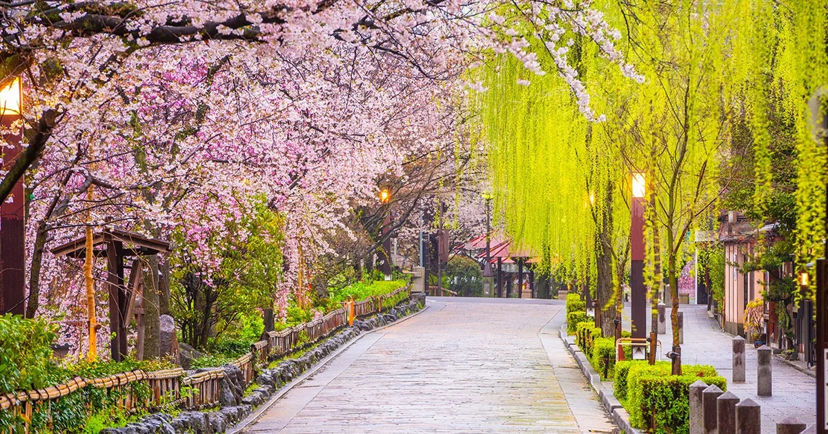 Roteiro das cerejeiras em flor: onde e quando viver a primavera entre Europa e Oriente