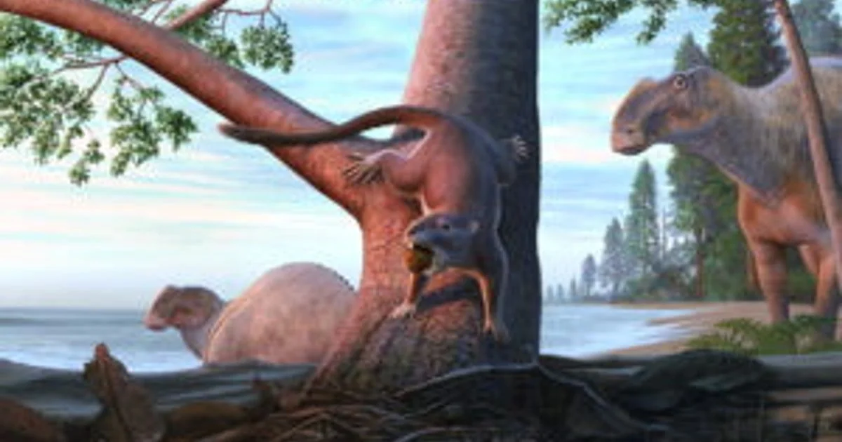 Descoberto mamífero pré-histórico do tamanho de um camundongo que conviveu com dinossauros