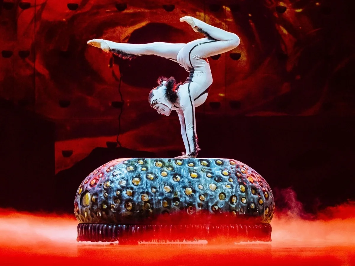 Cirque du Soleil chega ao ChorusLife Arena com a magia acrobática de Ovo: um microcosmo de insetos em cena