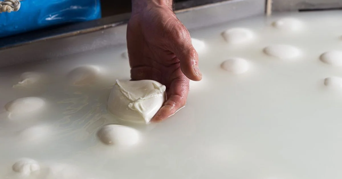 Crise no Golfo pressiona preços da Mozzarella di Bufala Campana DOP e ameaça exportações