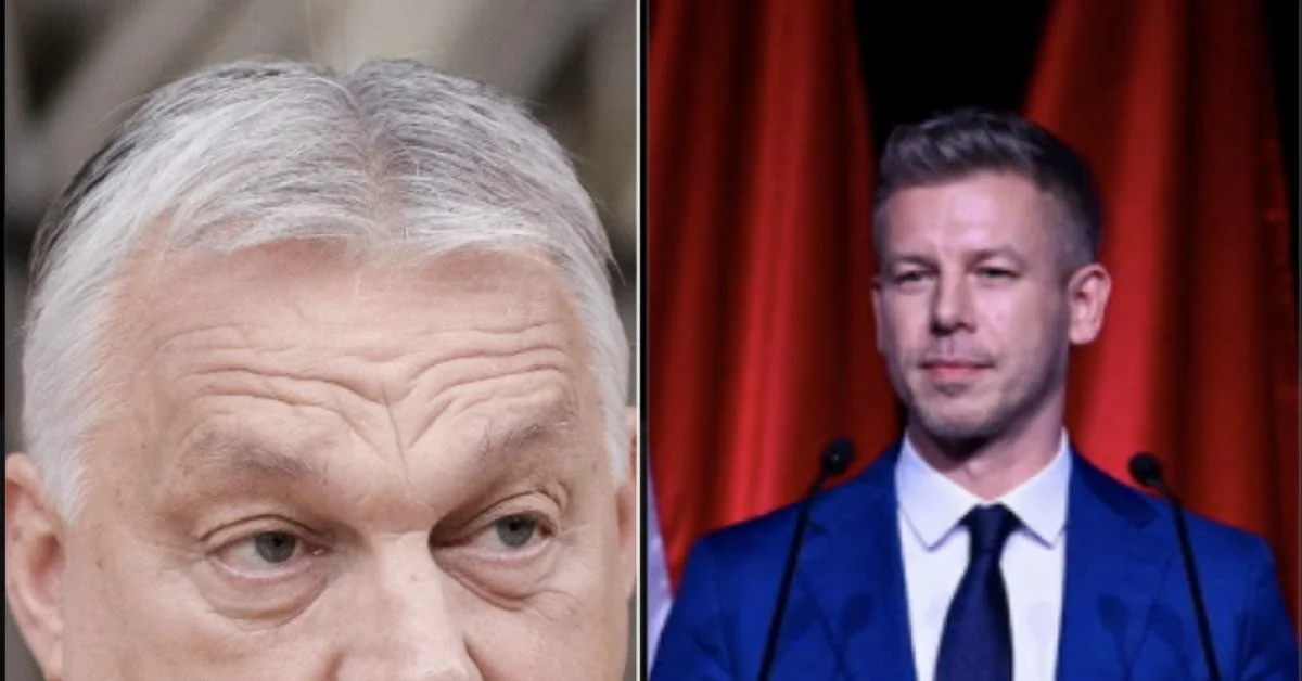 Eleições na Hungria: afluência recorde e vantagem de Péter Magyar sobre Viktor Orbán, 50% vs 35%