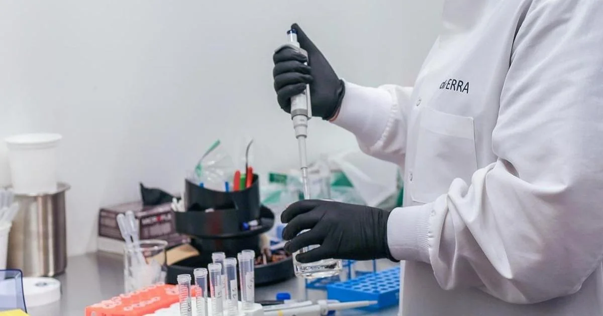 Elraglusib dobra sobrevida de 1 ano em câncer de pâncreas, aponta estudo clínico