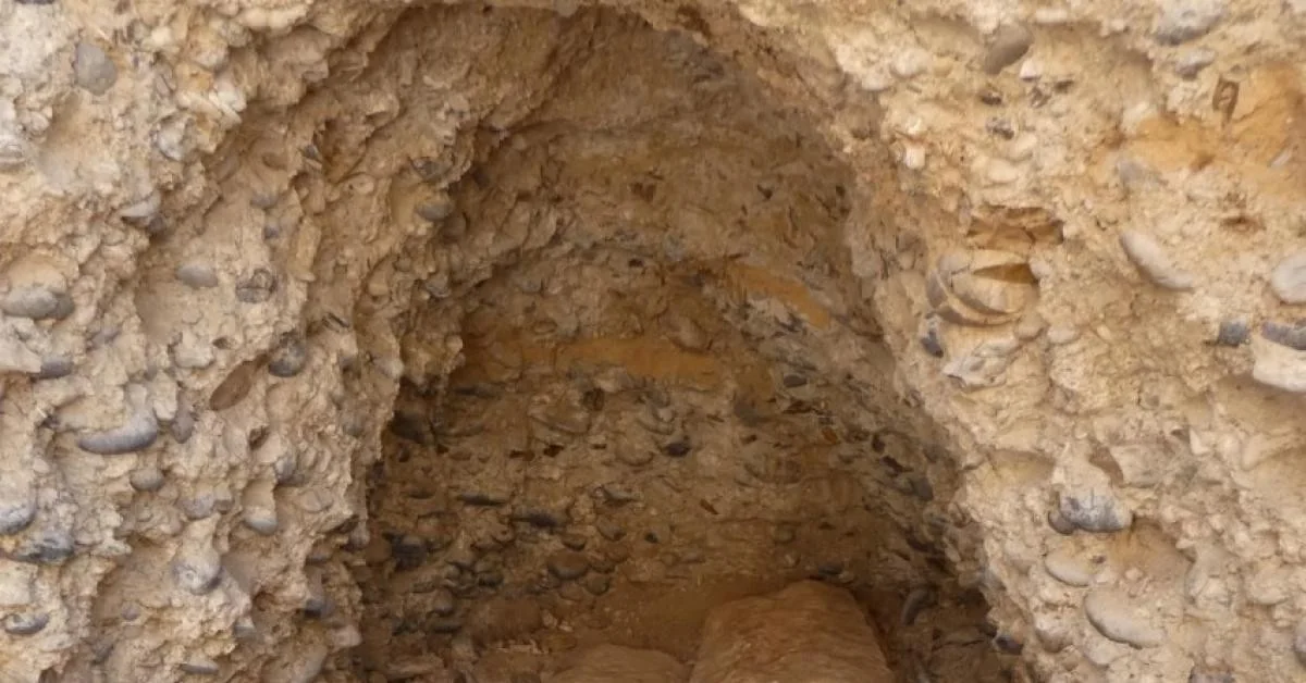 Fragmento da Iliade de Omero é encontrado dentro de múmia romana em Al Bahnasa, Egito