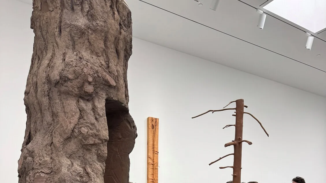 Giuseppe Penone leva suas árvores de bronze à Gagosian em Nova York: ‘Riflesso del Bronzo’