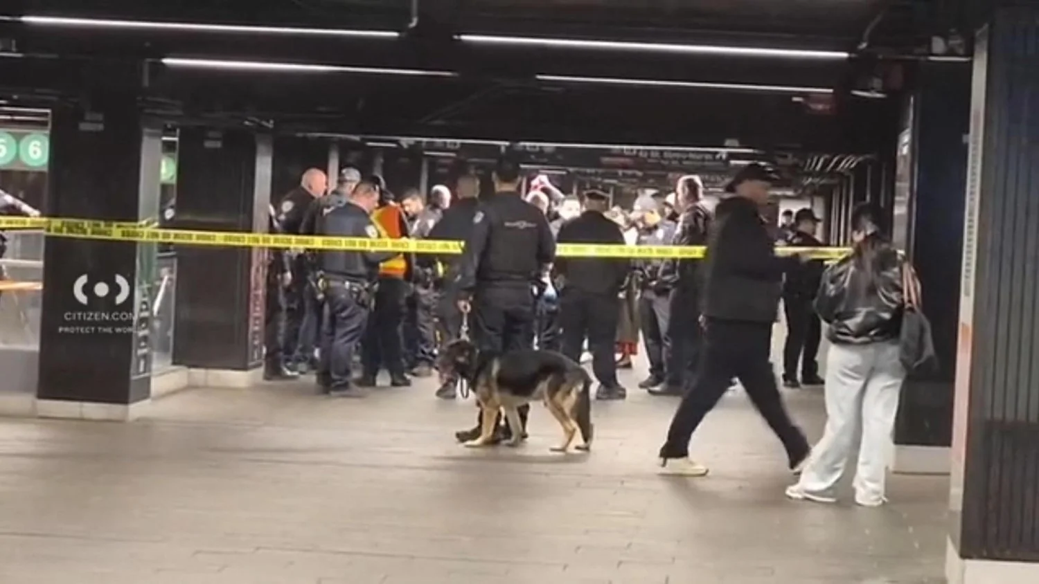 Grand Central Station: ataque com machete deixa três idosos em estado grave; agressor morto pelo NYPD