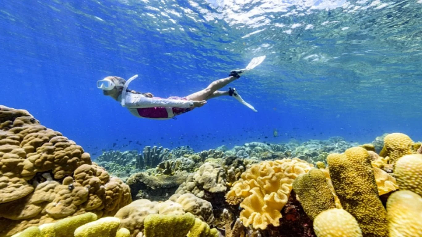 Ilhas Salomão em alta: turismo recupera força — o que ver, onde mergulhar e por que ir em 2025