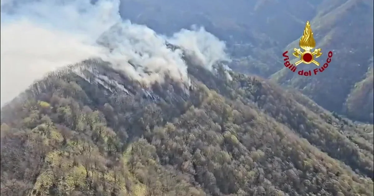 Incêndio no Appennino bolognese queima mais de 40 hectares; Canadair e equipes terrestres atuam
