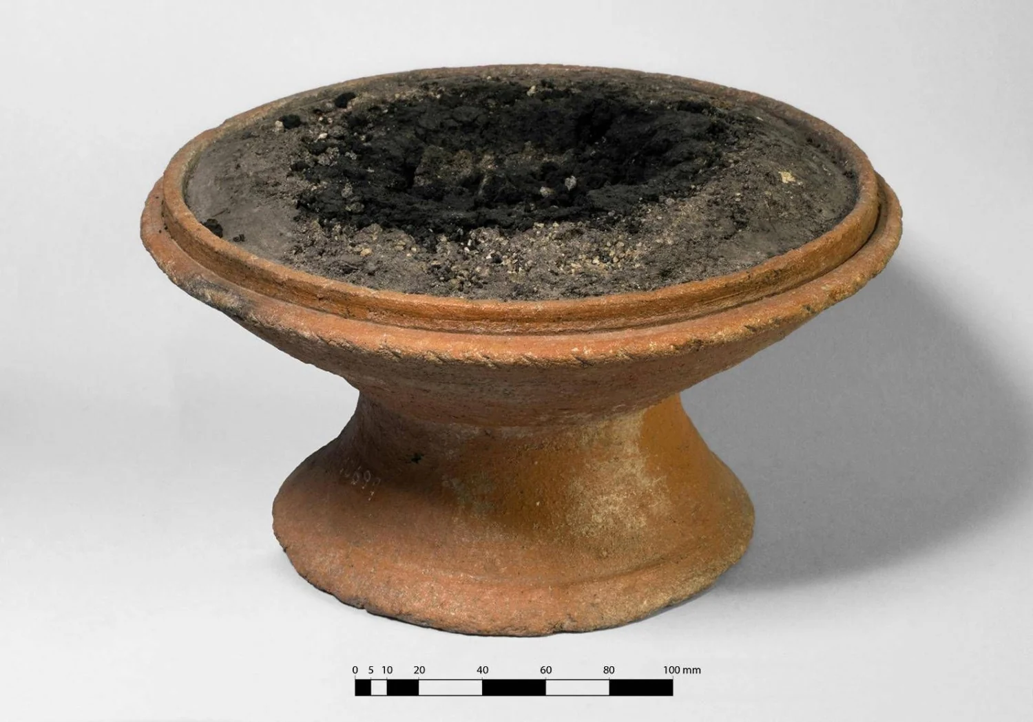 Incensos e resinas exóticas revelam rede comercial e rituais domésticos em Pompeia