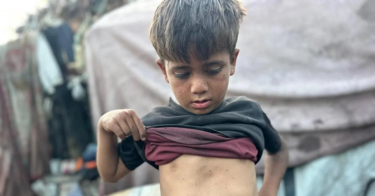 Khan Younis: infestação de insetos em campos de deslocados exige desinfestação imediata