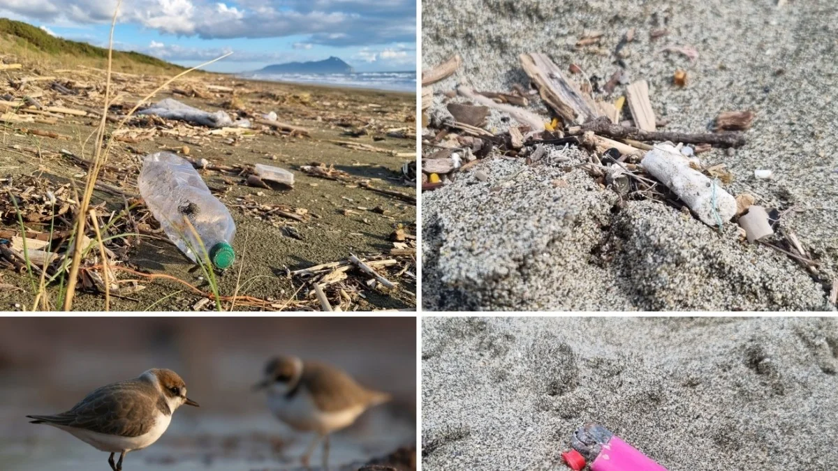 Legambiente: 77 bitucas de cigarro são recolhidas a cada 100 m de praia na Itália
