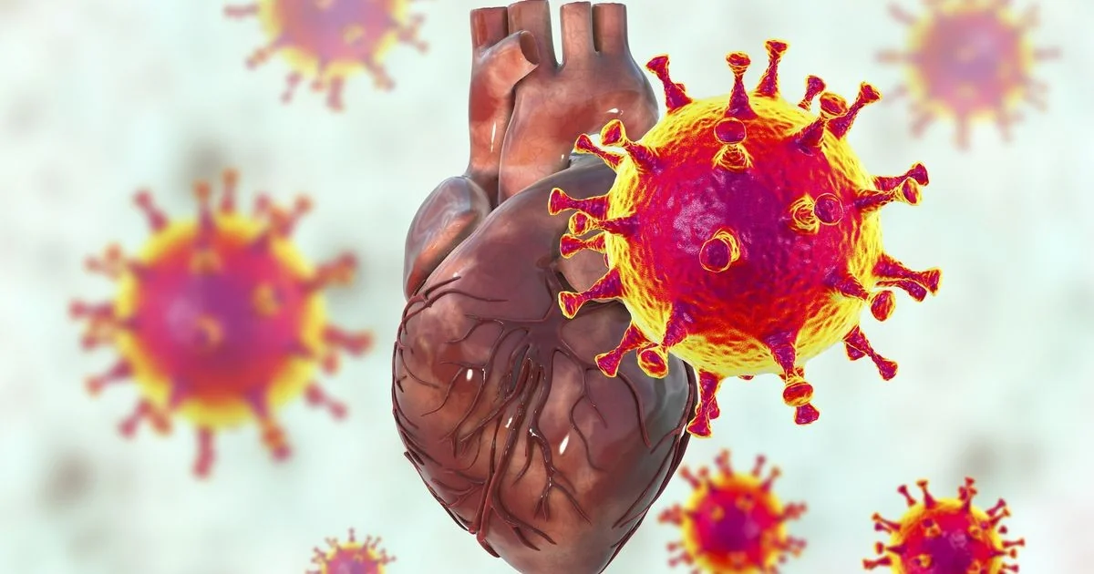 Long Covid eleva risco de doenças cardiovasculares, aponta estudo sueco