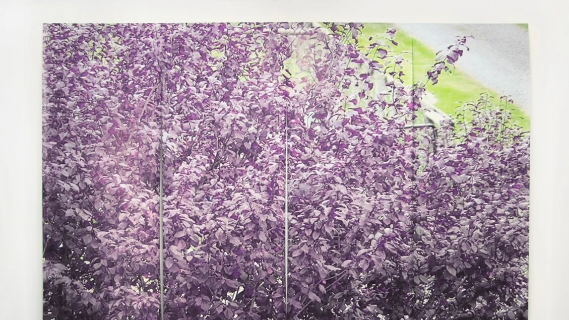 Macro 2026: um ano de grandes exposições, colaborações e projetos ao feminino