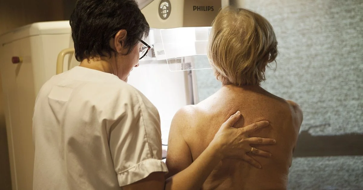 Estudo mapeia tecido mamário e explica por que a menopausa eleva o risco de câncer de mama