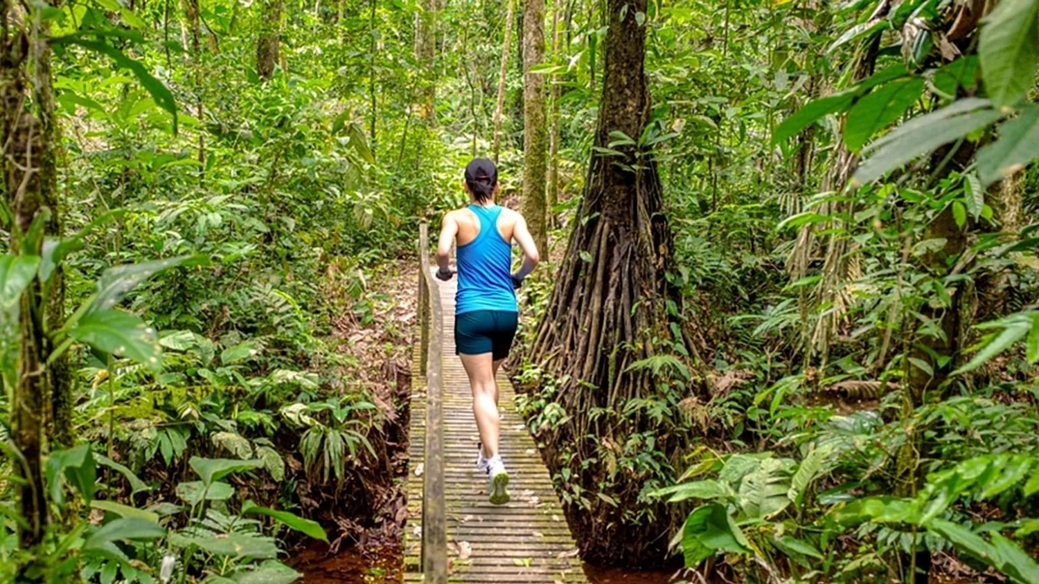 Da Amazónia à Antártida: maratonas únicas para correr uma vez na vida