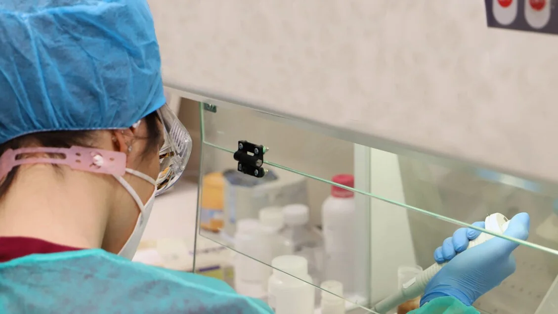 Mesotelioma: perfis moleculares preveem resposta à imunoterapia, aponta estudo italiano