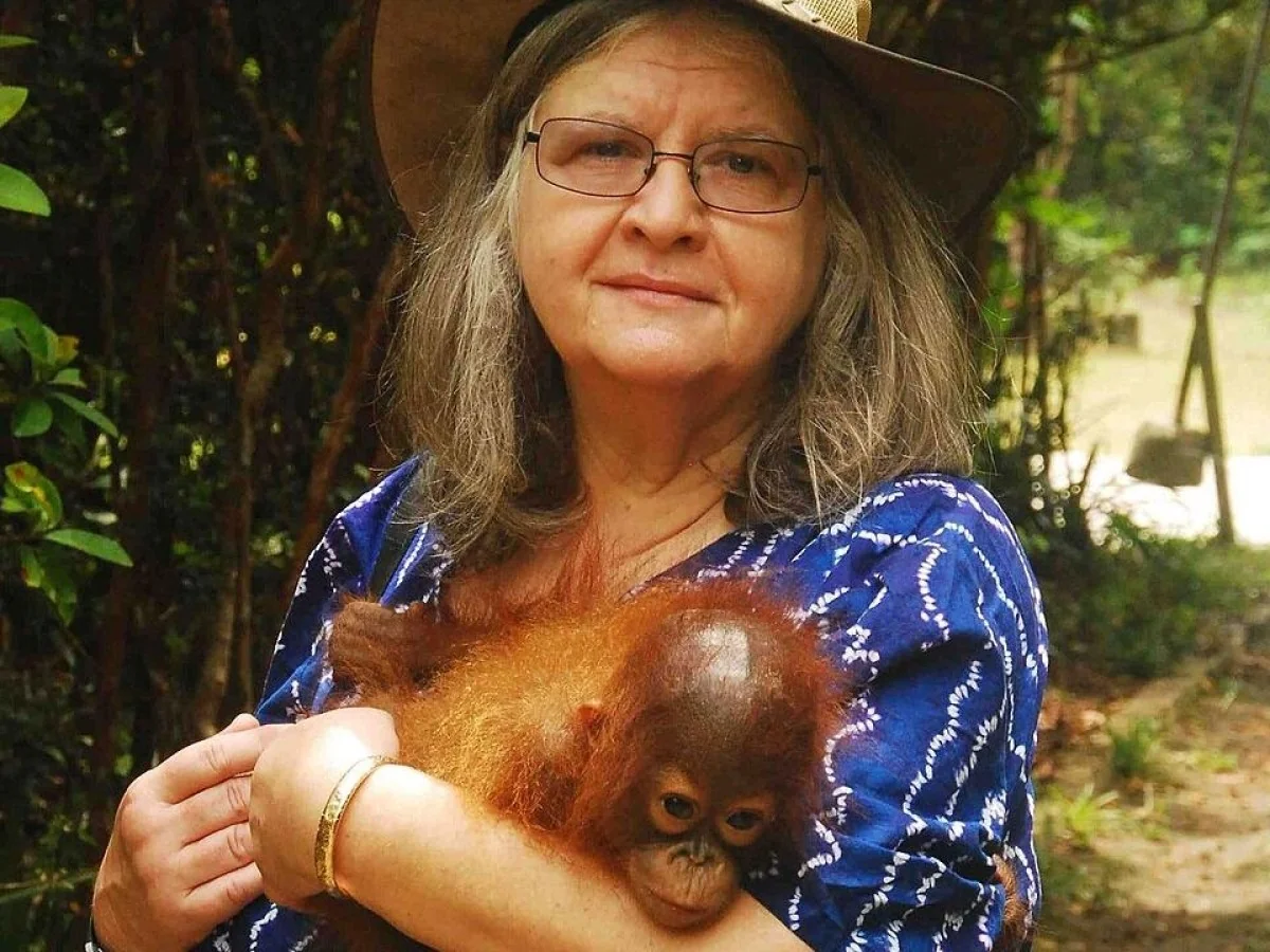 Morre Biruté Galdikas, guardiã dos orangotangos e das florestas do Borneo