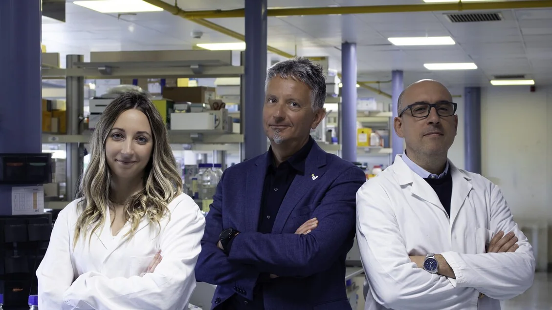 Molécula experimental NP1867 transforma tumores 'frios' e abre caminho para a imunoterapia
