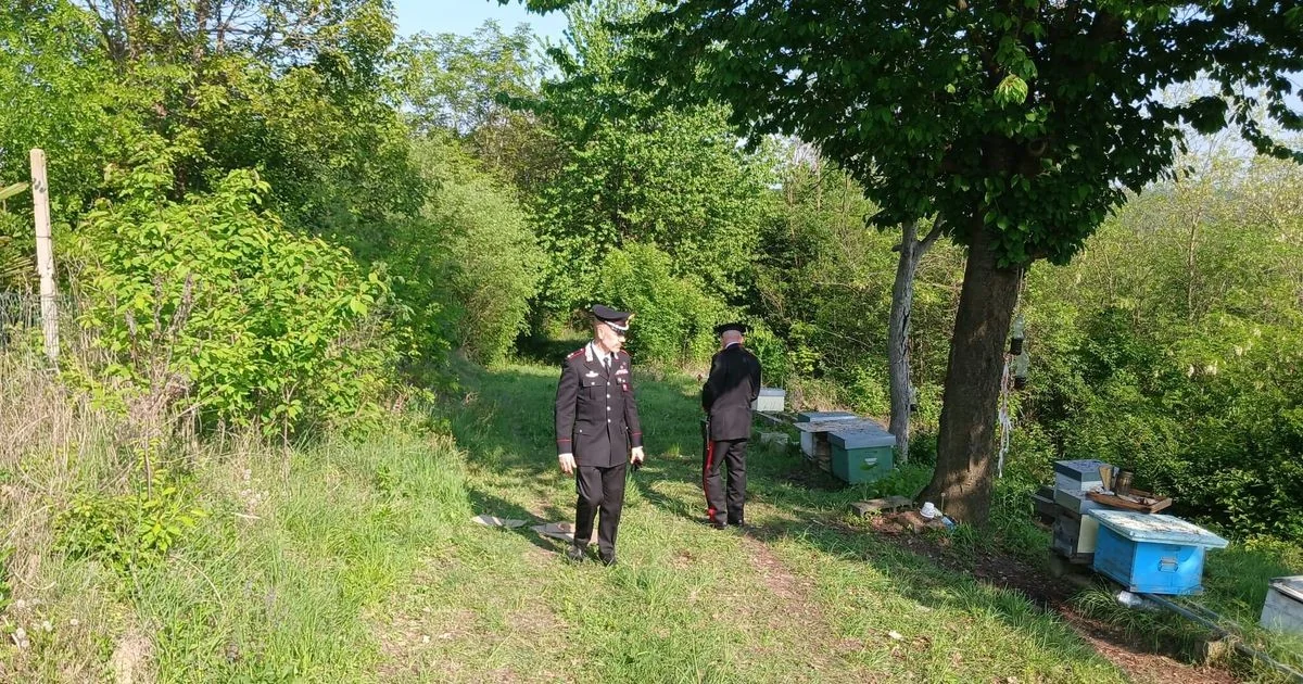 Omicídio-suicídio em Cossombrato: ex-namorado mata ex-companheira e novo parceiro e se lança do castelo
