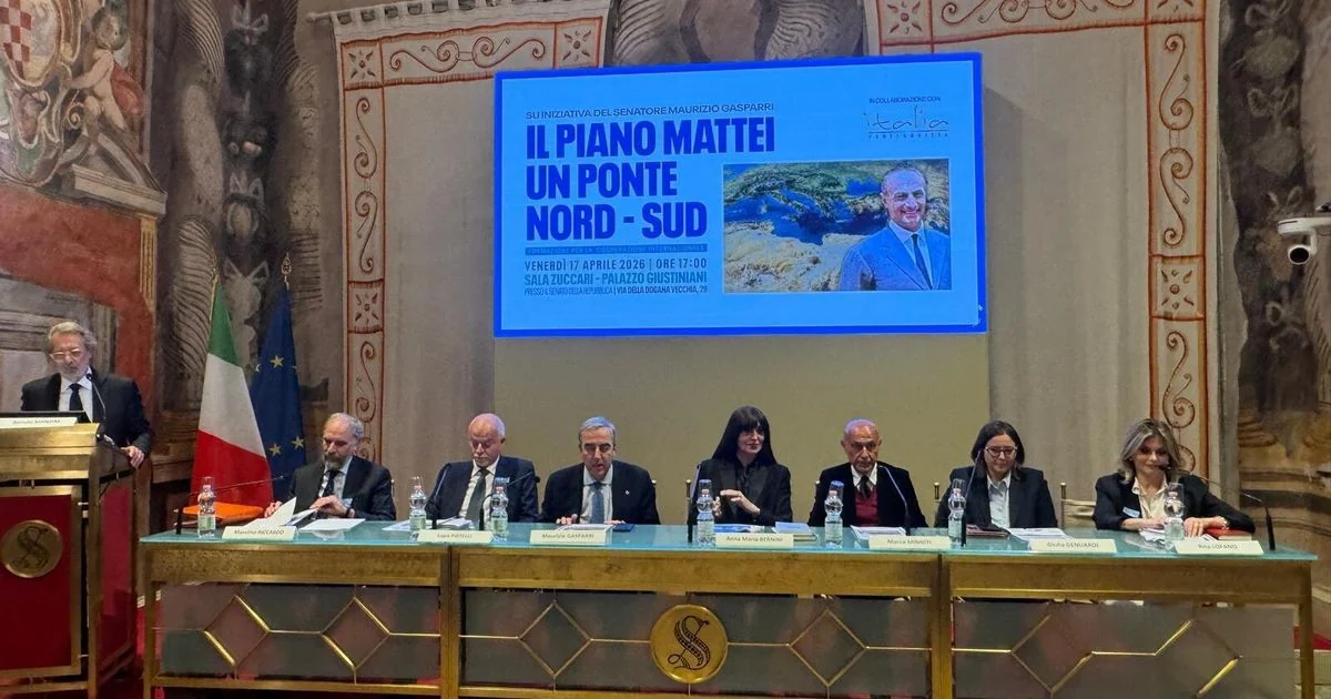 Piano Mattei: Senado debate papel da Itália como ponte entre Europa e África