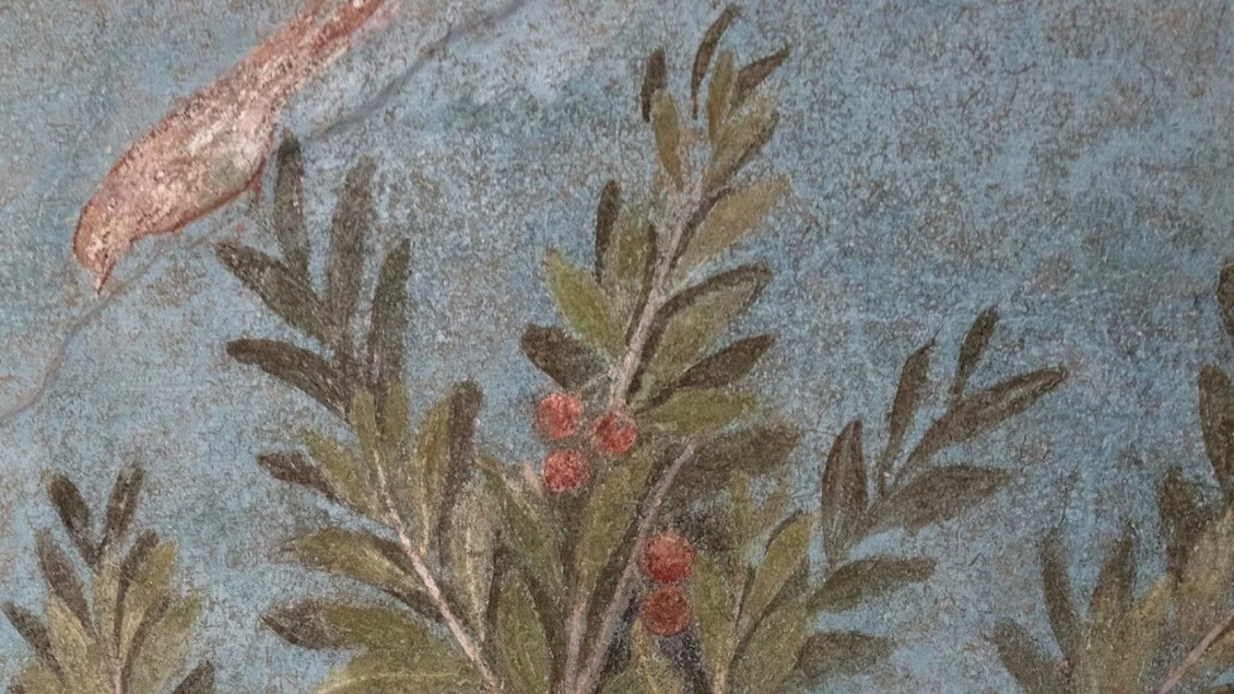 Pompei recebe especialistas internacionais no seminário G.R.E.E.N. sobre a gestão do verde em áreas arqueológicas