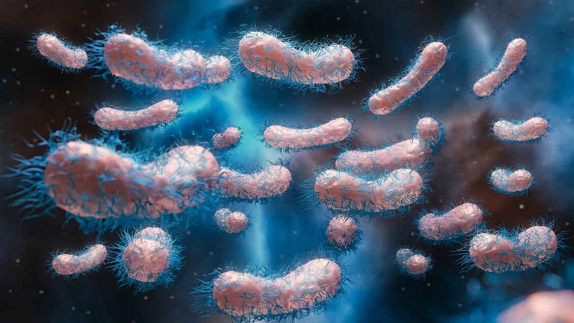 Sepse: novas diretrizes 2026 pedem antibióticos em até 1 hora, inclusive na ambulância