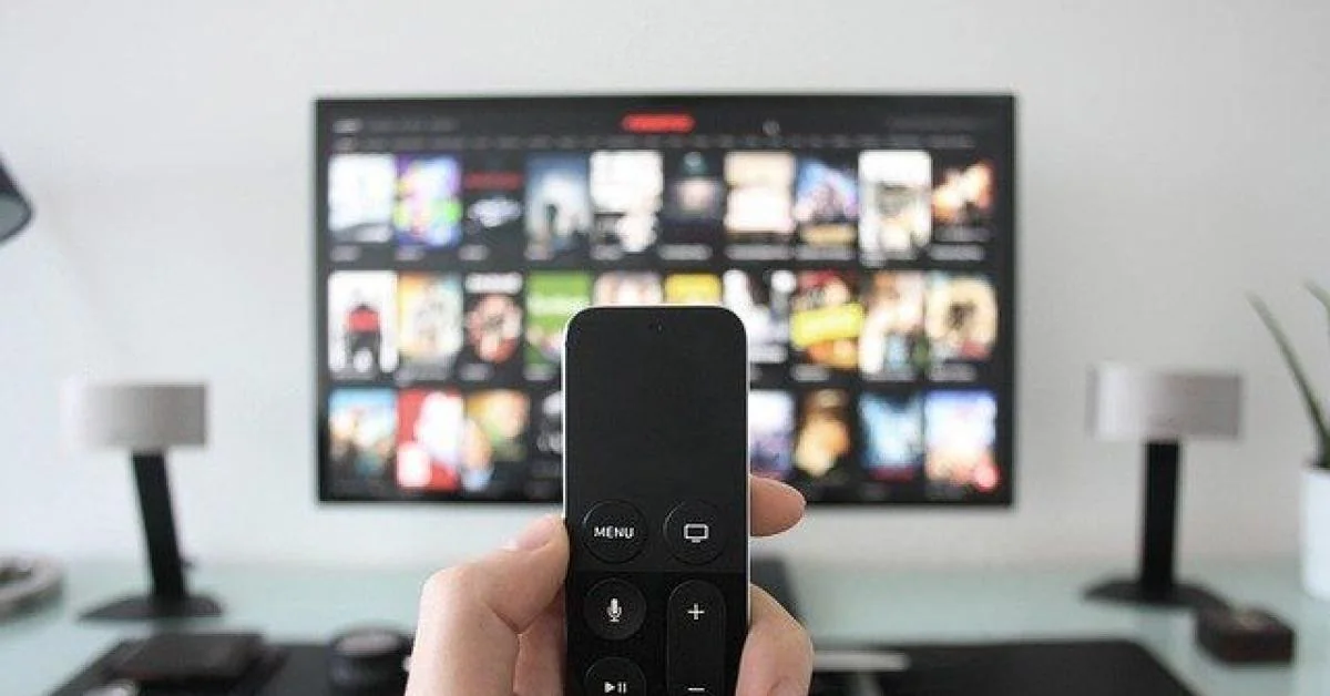 Televisão e Videocrazia: Como o Controle Público e o Entretenimento Remodelam Nosso Vocabulário