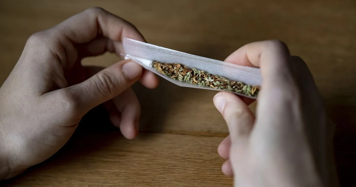 Uso de cannabis na adolescência reduz ganhos cognitivos, aponta estudo com 11 mil jovens