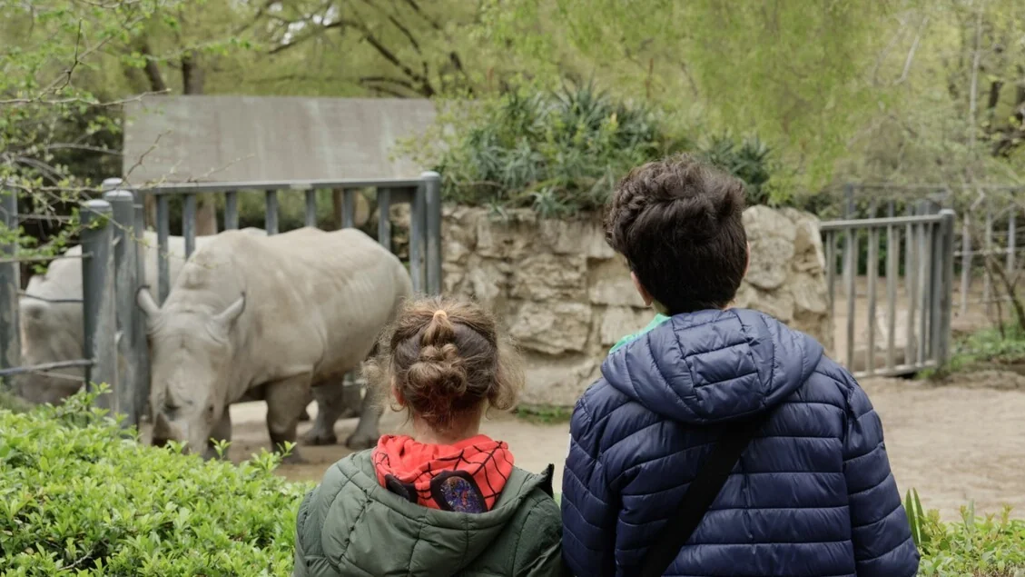 No Bioparco de Roma, visitas inclusivas conectam crianças com autismo à natureza