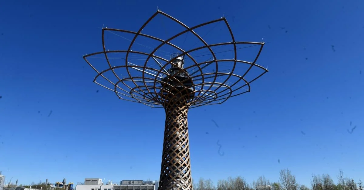 Albero della Vita: requalificação de €12 milhões no MIND com apoio do MEF; obras até 2028