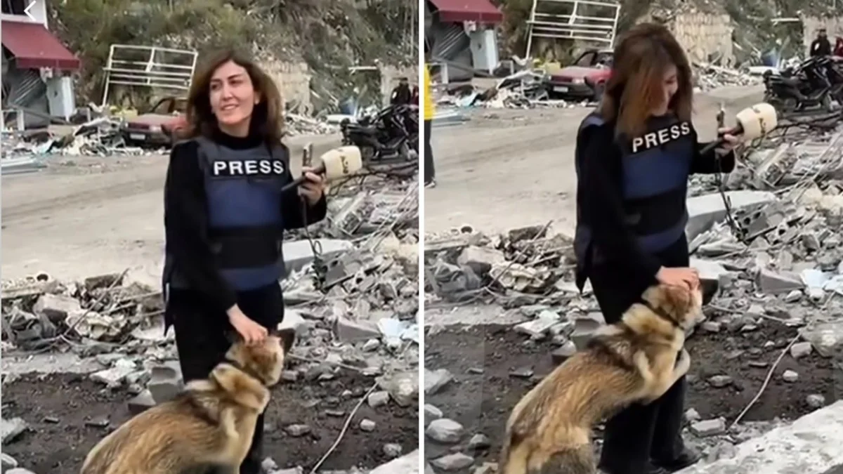 Amal Khalil: jornalista libanesa que documentava animais em guerra é morta em ataque israelense