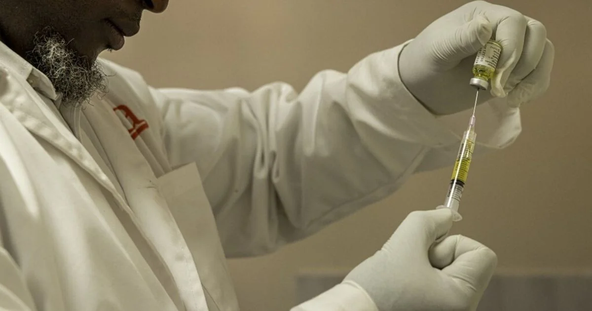 Pesquisadores usam óleo de linhaça para inibir HIV, SARS-CoV-2 e bactérias resistentes