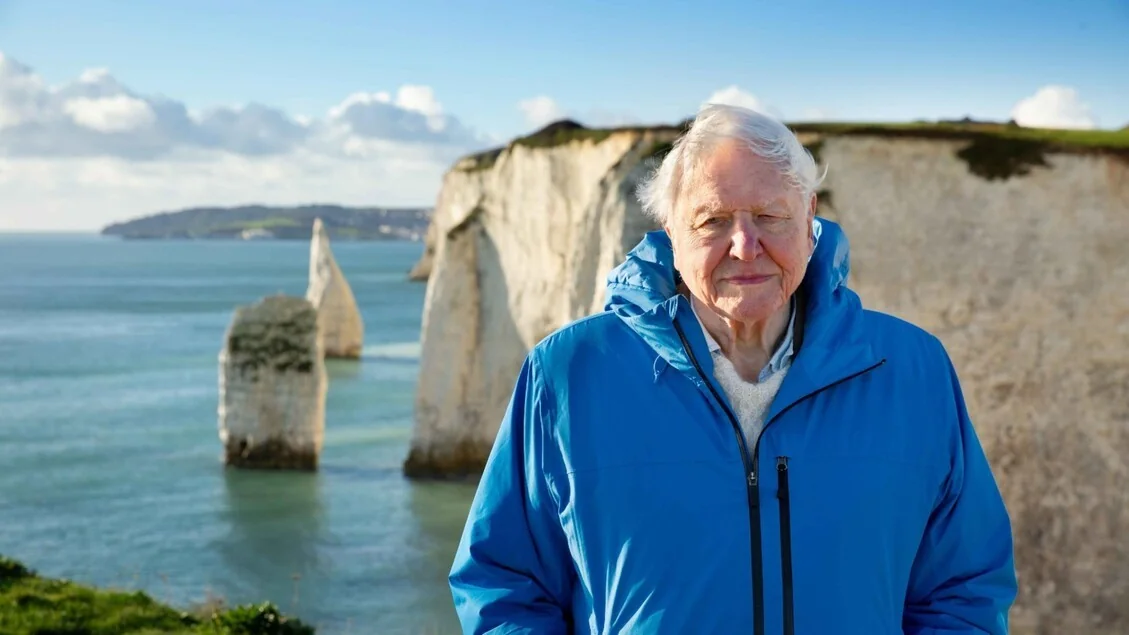 David Attenborough faz 100 anos: o homem que tornou a natureza tão popular quanto o futebol