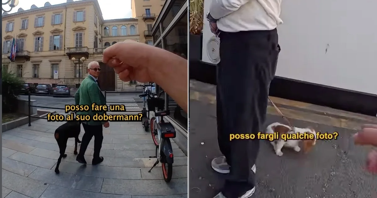 De Teerã a Torino: a jornada luminosa de Doggodaiily que transformou cães em narrativa e livro