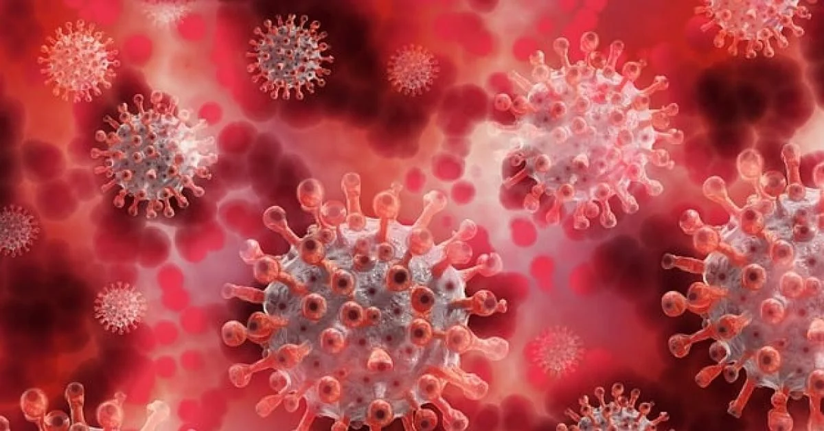 Ebola 2026: Entenda o foco Bundibugyo sem pânico — o que sabemos e o que precisa ser feito