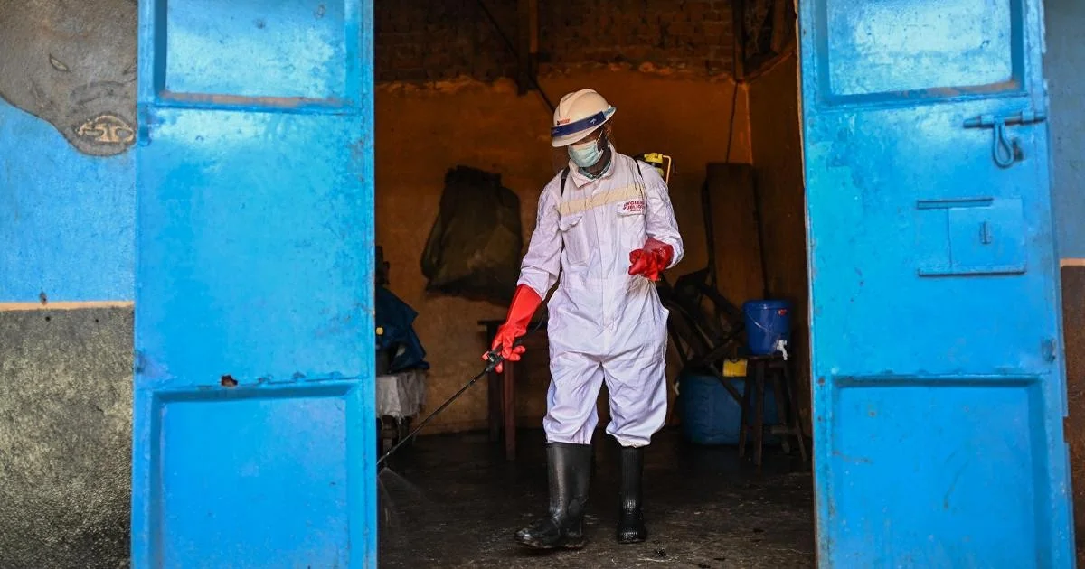 Ebola: Meloni pede coordenação europeia e reforço da vigilância nas fronteiras