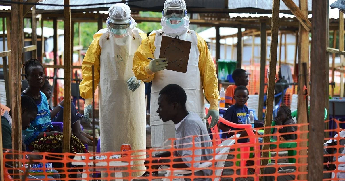 Nova onda de Ebola no Congo: 80 mortos e risco de propagação regional