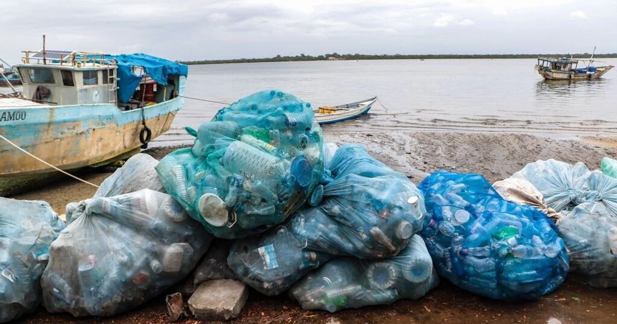 Oceano de plástico: 93% do lixo nas praias vem de embalagens de alimentos e bebidas, revela estudo global