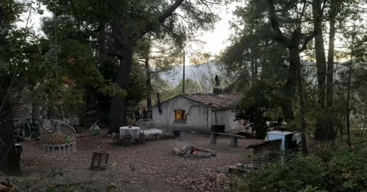 Família no bosque em Palmoli: filho hospitalizado reacende debate sobre privacidade e tutela