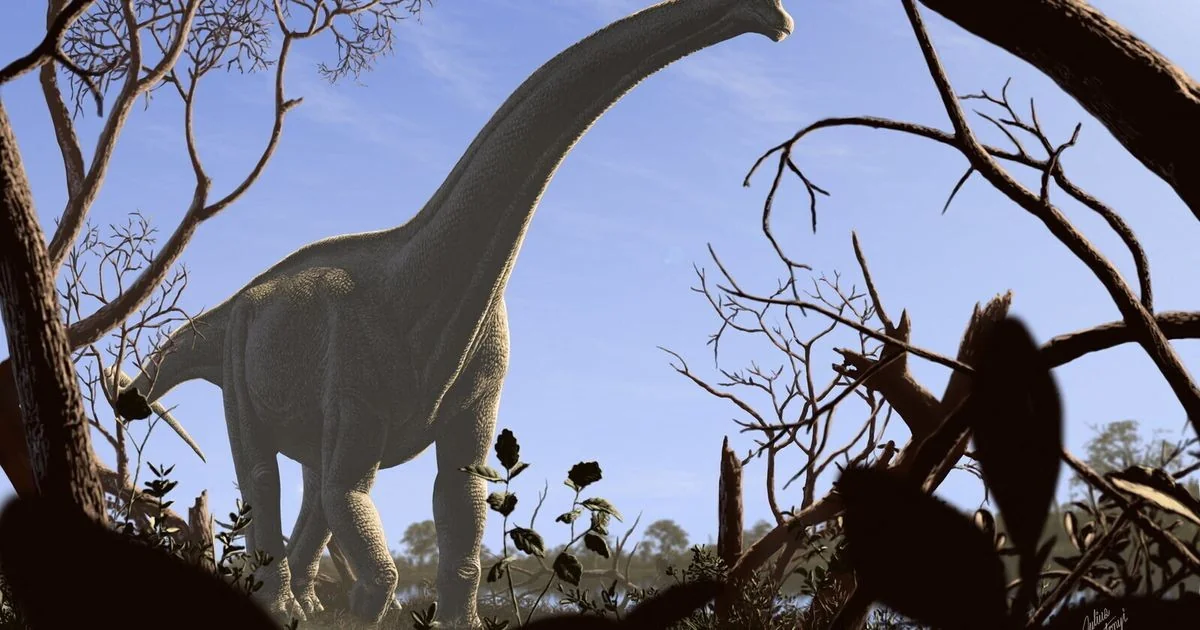 Fungos explodiram após o impacto: nova evidência reforça papel do asteroide e do vulcanismo na extinção dos dinossauros